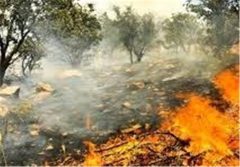 آمادگی ارتش برای مقابله با آتش‌سوزی‌های احتمالی خوزستان