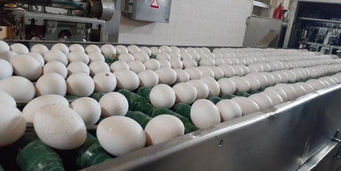 افزایش بی سابقه قیمت تخم مرغ در اهواز