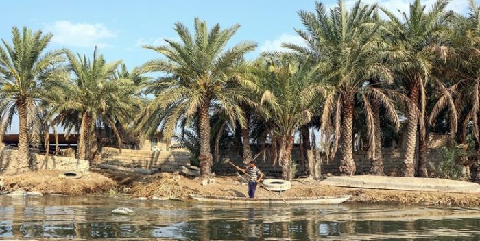 خوزستان، پیشانی کشاورزی کشور است