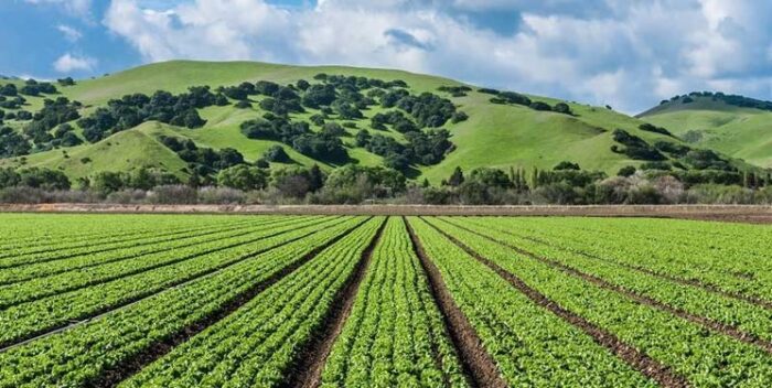 ارزش افزوده کشاورزی خوزستان با کمک فناوری هسته‌ای/سامانه صنعتی پرتودهی استان ایجاد می‌شود