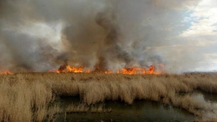 تداوم آتش‌سوزی تالاب هورالعظیم/ شهرهای خوزستان زیر دود