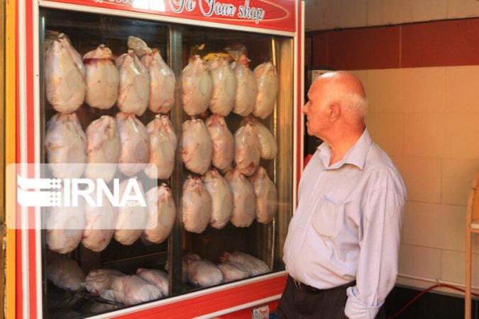 قیمت مرغ کشتار روز در اهواز رو به کاهش رفت