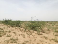 برنامه‌های مقابله با ریزگرد در خوزستان نباید رها شوند