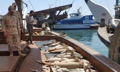 توقیف ۱.۶تن ماهی قاچاق در آب‌های خوزستان