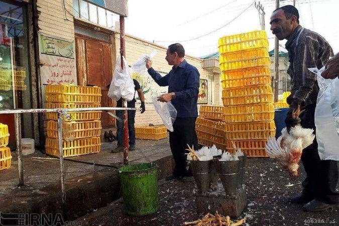 برخورد قانونی با عرضه کنندگان مرغ زنده در خوزستان تشدید شد