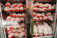 مدیرکل اقتصادی استاندار خوزستان: دلیل کمبود مرغ در بازار بررسی شود