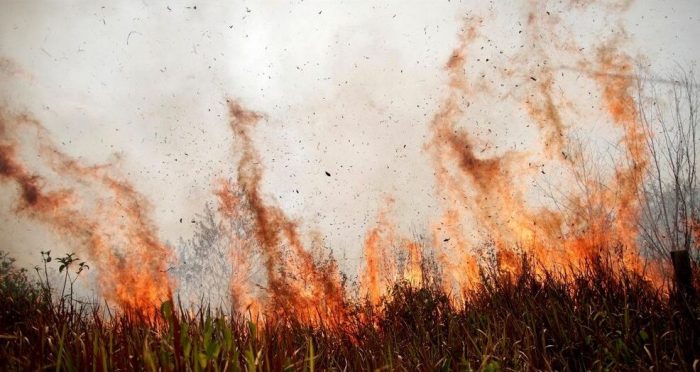 سوزاندن بقایای گیاهی در خوزستان خیانت به نسل‌های آینده است