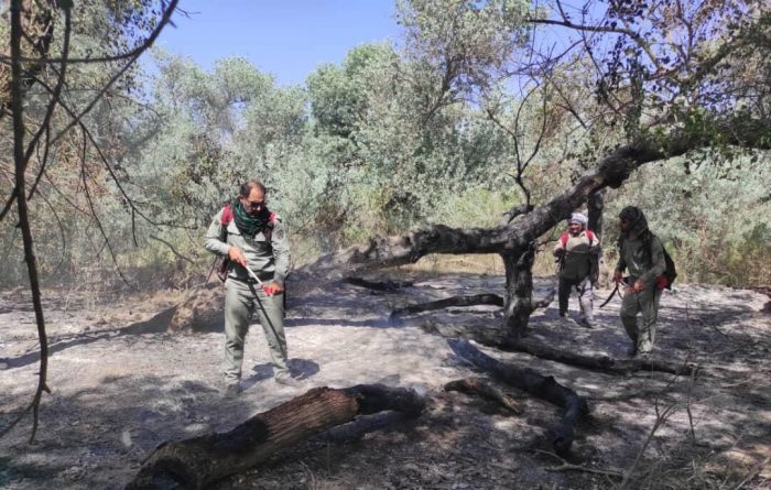 بی توجهی گردشگران، آتش به جان جنگل‌های دز انداخت