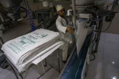 بیش از ۶۱۸هزار تن شکر از نیشکر در خوزستان تولید شد