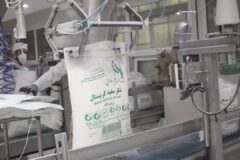 ۴۰۰هزار تن شکر در شرکت توسعه نیشکر خوزستان تولید شد