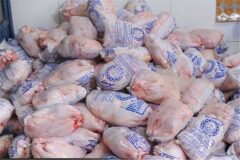 توزیع ۲هزار تن مرغ منجمد برای تنظیم بازار خوزستان