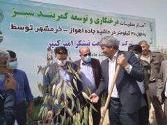 درختکاری حاشیه جاده اهواز – خرمشهر به طول ۳۰ کیلومتر شروع شد