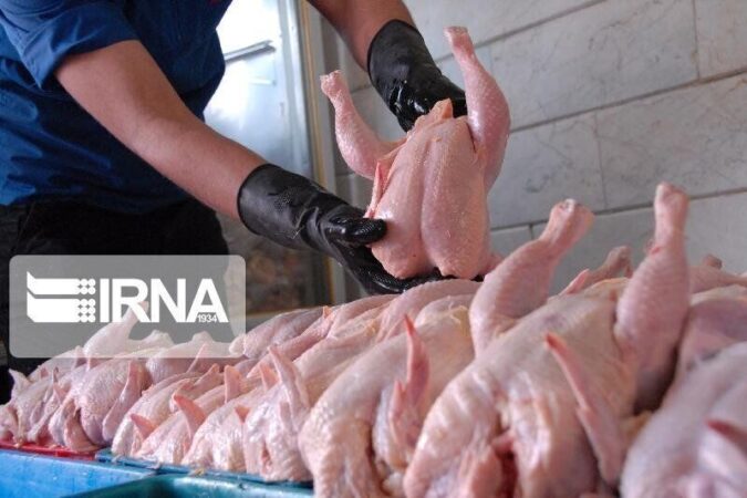 خوزستان در زمینه عرضه مرغ با مشکل فقدان شبکه توزیع مواجه است