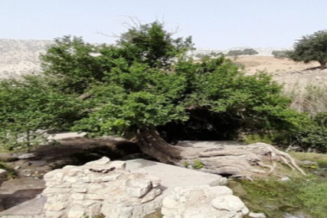 پرونده پنج اثر طبیعی خوزستان در شورای ملی ثبت آثار تصویب شد