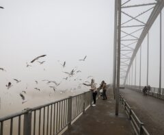هوای خوزستان تا اواخر یکشنبه مه آلود است