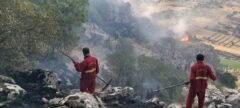 بیشترین آتش‌سوزی عرصه‌های طبیعی خوزستان در جنگل‌های دست‌کاشت بوده است