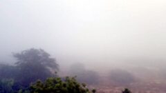 مه و غبار پدیده غالب جوی در خوزستان