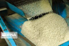 توزیع بیش از ۱۴ هزار تن برنج و شکر در خوزستان
