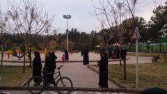 بررسی وضعیت دو پارک بانوان و حجاب اهواز در شورای شهر