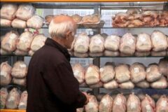 قیمت مرغ کشتار روز در اهواز کاهش یافت