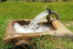 رفع مشکلات آب کشاورزان شادگان نیازمند رسیدگی فوری است