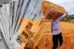 قول وزیر کشاورزی برای پرداخت مطالبات گندمگاران خوزستانی از امروز