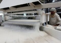 آغاز تصفیه ۲۸۰هزار تُن شکر خام وارداتی در خوزستان