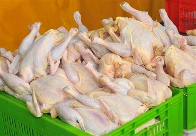 افزایش ۱۰۵ درصدی مرغ در سه ماهه اول امسال