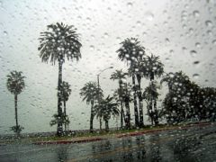سراسر خوزستان بارانی است