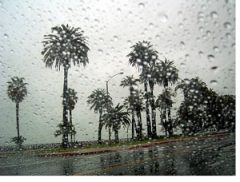 خوزستان از جمعه بارانی است