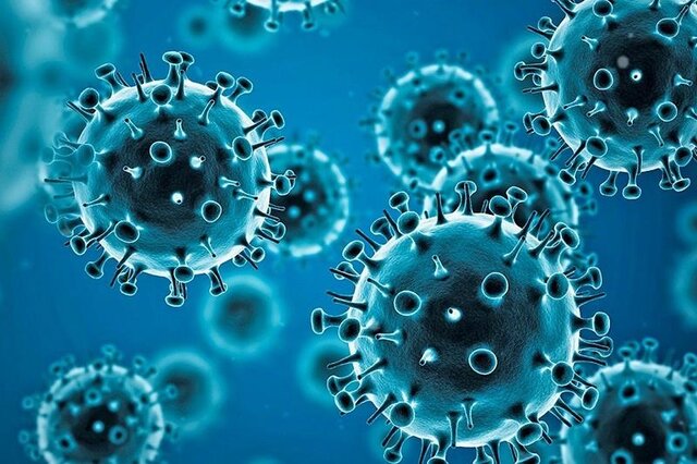 کشف یک مکانیسم ضد ویروسی که از بدن در برابر کروناویروس محافظت می‌کند