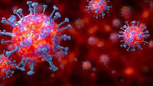 به ناپایدار شدن کروناویروس در گرما امیدوار نیستیم