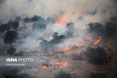 مجازات حبس در انتظار عاملان آتش‌سوزی‌های جنگلی
