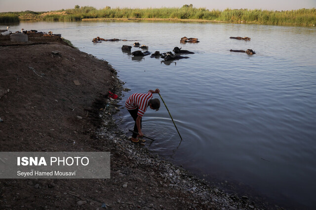 برداشت آب شرب آلوده به فضولات و فاضلاب، از رودخانه “شاوور”