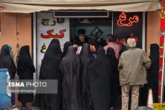 تخصیص سهمیه جدید مرغ منجمد به خوزستان