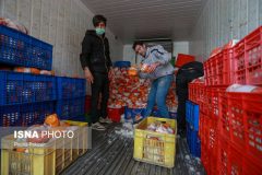 بهبود وضعیت مرغ در بازار خوزستان نسبت به هفته‌های گذشته