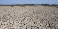 کمبود شدید آب در ۷ هزار هکتار از هورالعظیم / جنوب تالاب کاملا خشک است