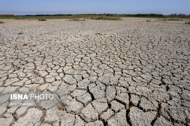 خشک شدن ۴ درصد “هورالعظیم” در ۵ روز گذشته / مرگ و میر نگران‌کننده آبزیان