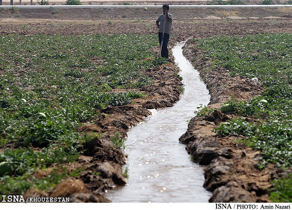 تصمیم واگذاری توزیع آب به کشاورزان خوزستانی به کجا رسید؟