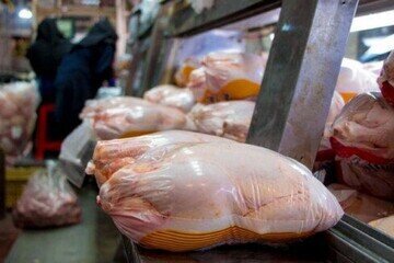 توزیع روزانه مرغ در خوزستان، ۱۰۰ تن کمتر از روزهای متعادل بازار