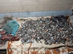 دستگیری متخلفین کشتار غیراخلاقی پرندگان در کرخه
