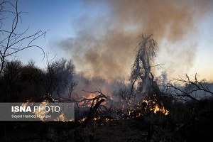 پیش‌بینی افزایش آتش‌سوزی‌های ناشی از خشکسالی در جنگل‌های زاگرسی خوزستان
