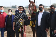 معرفی برترین های هفته پنجم مسابقات اسب دوانی کشور در اهواز