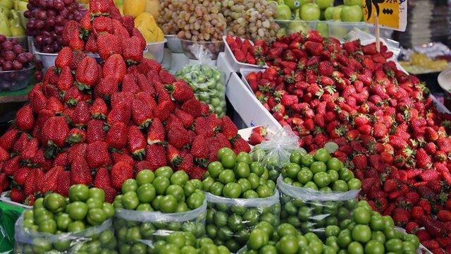 میوه‌های نوبرانه‌ بهار به بازار آمدند / کاهش ۱۰ درصدی قیمت گوجه