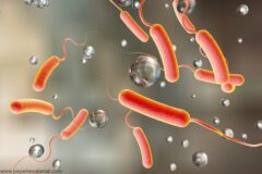 شناسایی ۲۶ مورد ابتلا به وبا در خوزستان در سال گذشته / آغاز پیک بهاره التور