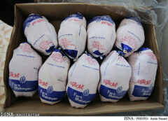 توزیع بیش از ۳ هزار تن مرغ منجمد در خوزستان در طرح ضیافت