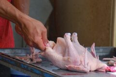 کاهش ۱۳ هزار تومانی قیمت مرغ کشتار روز در خوزستان
