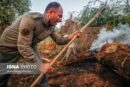 حریق ۲۸۸ هکتار از مناطق و جنگل‌های خوزستان/ پیش‌بینی آتش‌سوزی‌های گسترده در تابستان