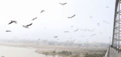 ادامه وضعیت “قابل قبول” هوا در خوزستان