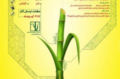 اولین جشنواره مطبوعاتِ “شهدِ رسانه”